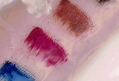 ✨Buy 1 Get 1 Free✨Colorful Lengthening Mascara